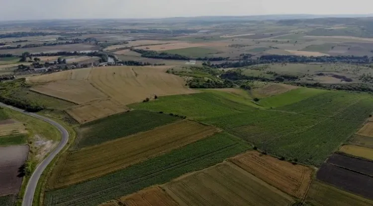 Edirne land for sale — farmland with road frontage on the Thrace plain