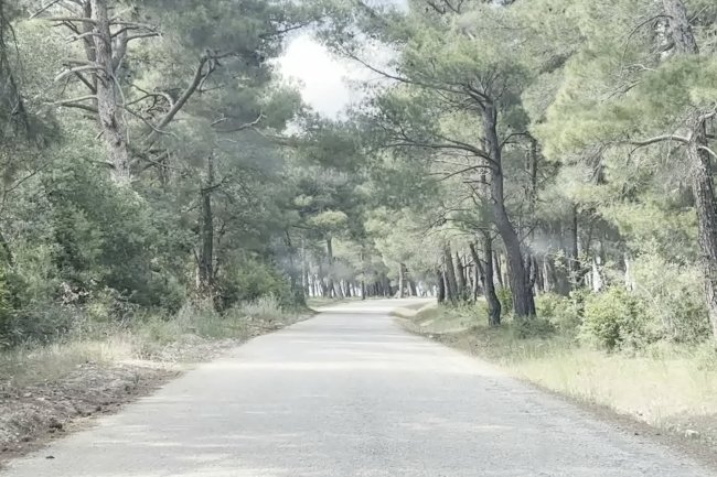 Kaz Dağları Köy Yolu