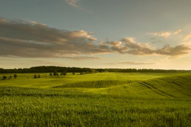 Arsa ve Tarla Satışlarındaki Rekor, Fiyatlara Yansıdı.