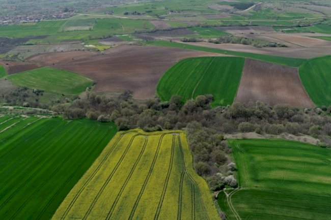 Which Reasons Are Stronger in Purchasing Plot and Land?