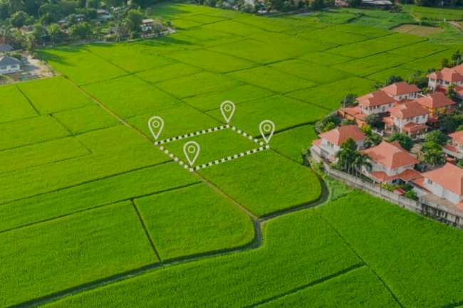 Current Approach of the Land Buyer