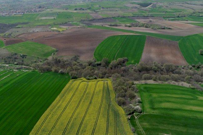 Arsa Arazi Emlakçılığında Pazarlama Tarafında Çok Cazip Bir Emlakçı Olduğumu Algılamaya Başladım.