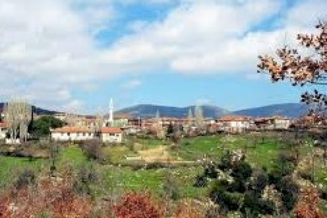 Çanakkale Bayramiç Bölgesinde Arsa Arazi Portföylerim Artıyor.