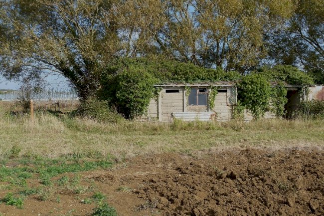 Doğaya dönüş kararı insanlar arasında artıyor.