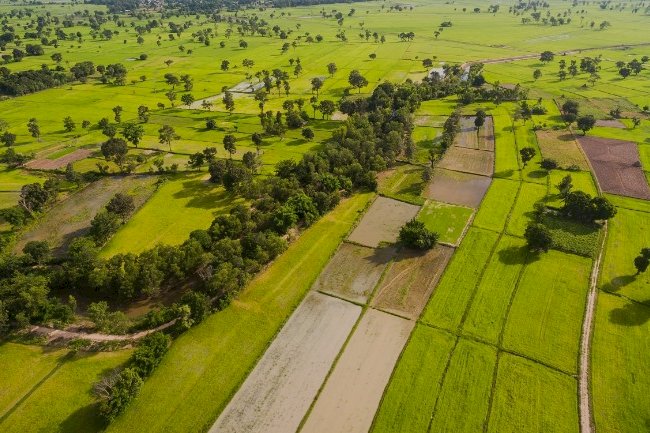 Hangi Araziler Yatırım İçin Az Tercih Ediliyor?