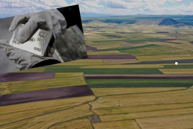 According to artificial intelligence, it will bring the most land and silver in 2025!