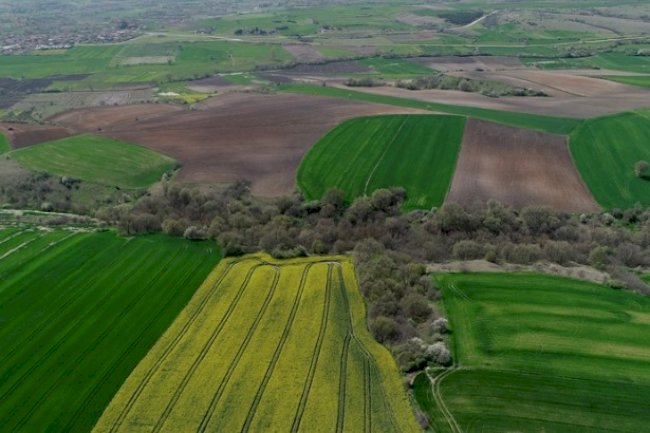 Kırklareli Edirne arsa arazi emlakçılığında talep almaya başladım.