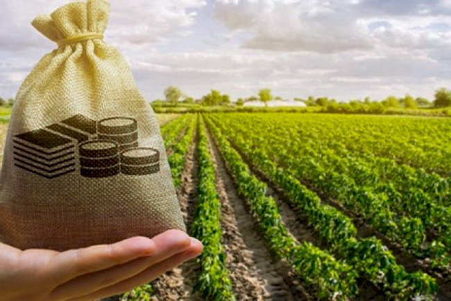 Faizlerde düşüş olursa arsa, arazi talebi artar.