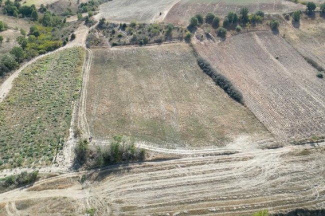 Kırklareli nde 26 dönüm tarla satıyorum