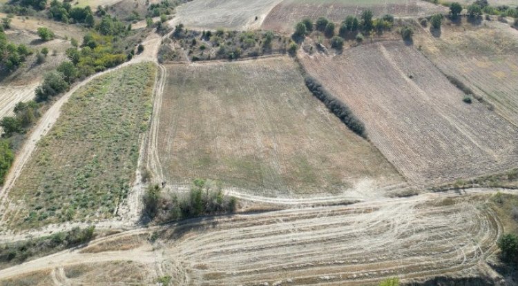 I sell a 26-acre field in Kırklareli
